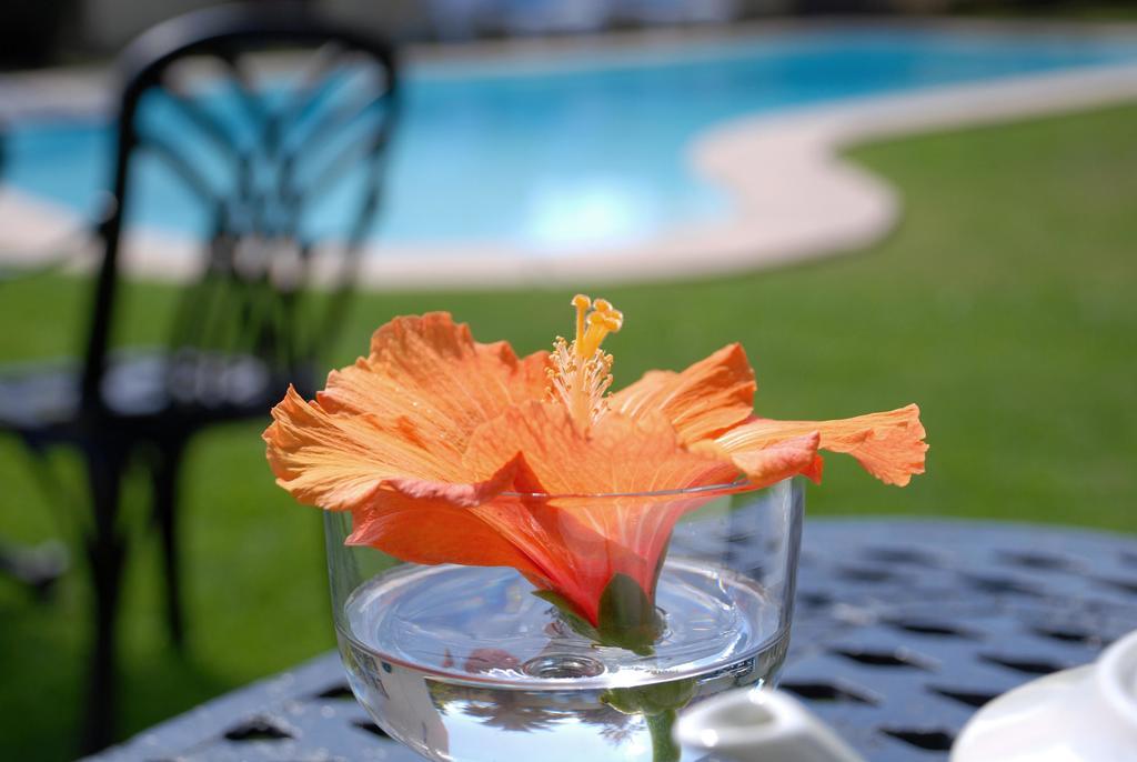 Mandalay Guest House Plettenberg Bay Zewnętrze zdjęcie